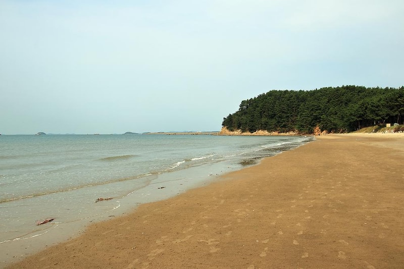 솔내음 야영장 시설 사진 12