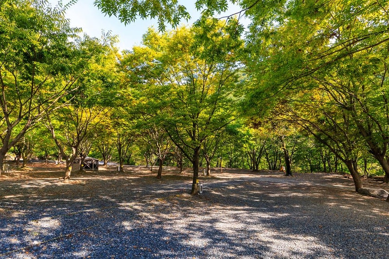 약초농원 캠핑장 시설 사진 8