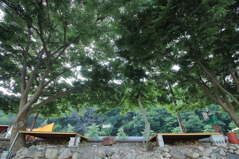 벌곡오토캠핑장 시설 사진 8