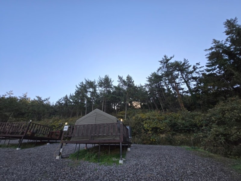 <전남애견동반캠핑장>해남다온캠핑장/애견동반가능/조용한캠핑장