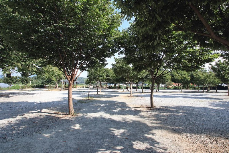 도레미 캠핑장 시설 사진 2