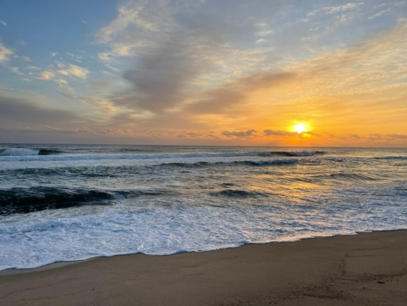 쉰한 번째, 울진 염전해변캠핑장(2023/11/10)