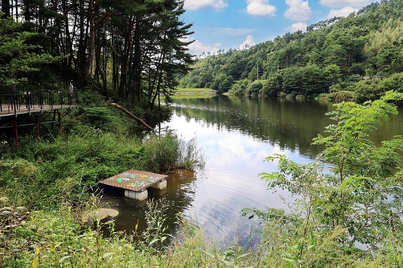 노섬브리아 야영장 시설 사진 10