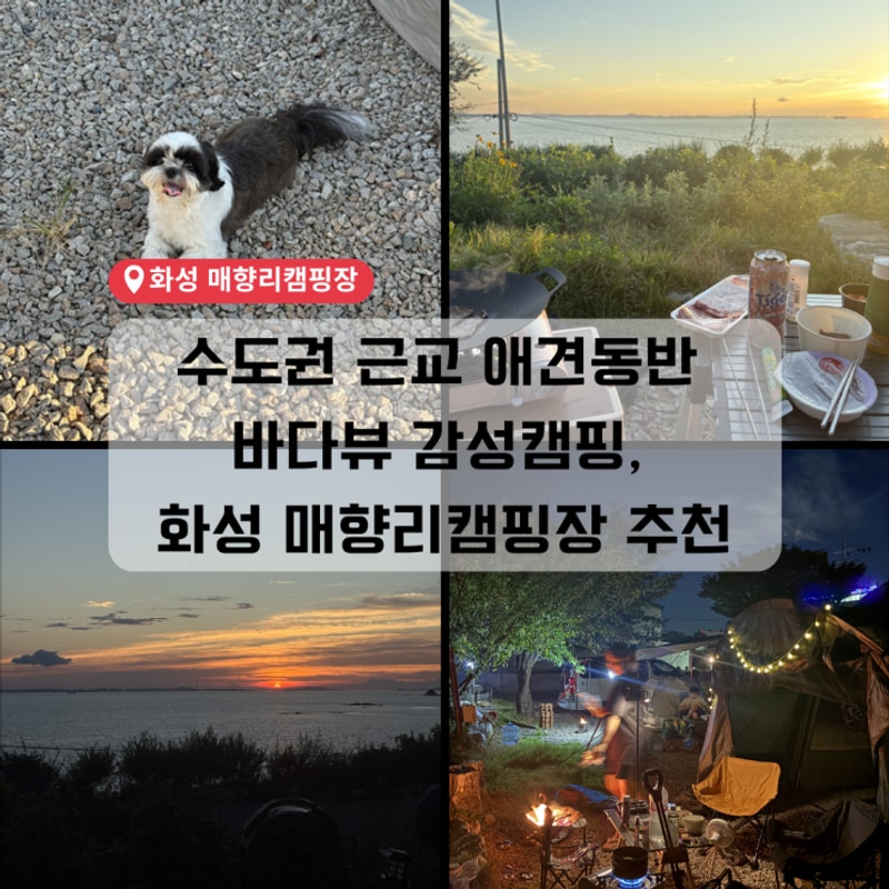 화성 매향리캠핑장｜애견동반 가능한 바다뷰 감성 캠핑 후기