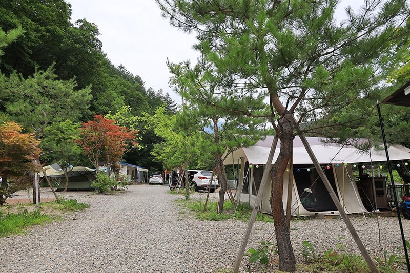 포시즌캠핑장 시설 사진 10