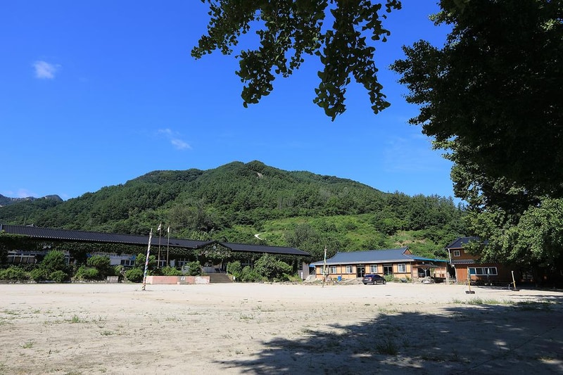 패밀리오토캠핑장(한국전통문화체험학교) 시설 사진 1