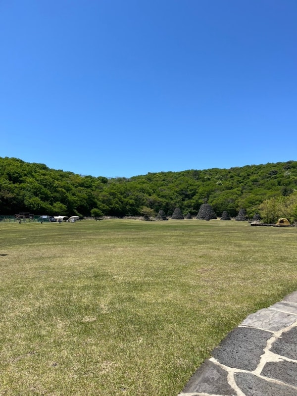[제주] 교래자연휴양림 야영장에서 아이들과 캠핑