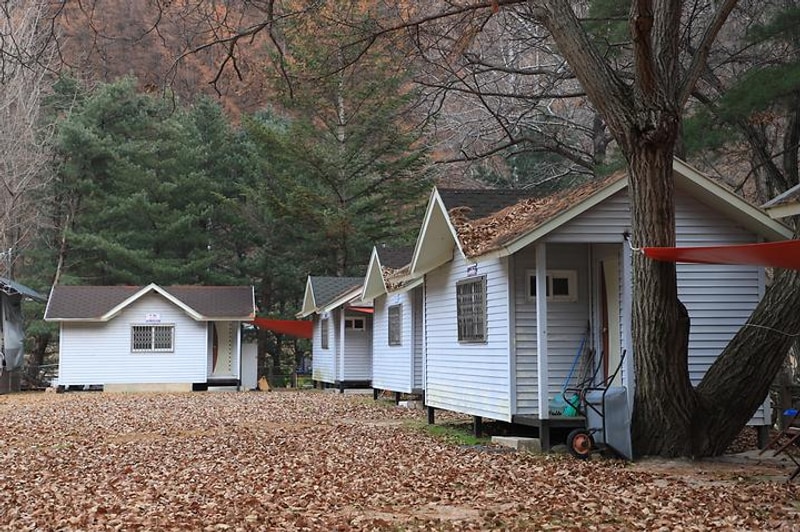 웅진리야영장 대표 사진