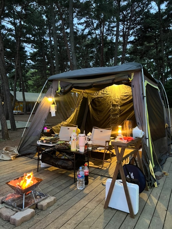 태안 청산리오토캠핑장 (명당: 오션데크2번) 리얼후기