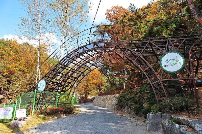 입화산참살이숲야영장 시설 사진 12