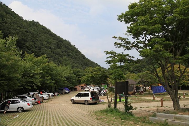 덕동자동차야영장 대표 사진
