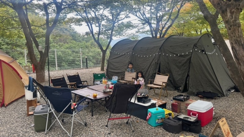 경북 경주 애견동반가능 캠핑장 캠프 포레스트 시설 후기