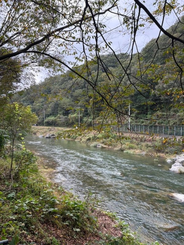 [캠핑기록 1] 양평 서종 수입리캠핑장 6번 데크존 20251018...