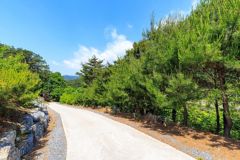 별바라기 캠핑 펜션 시설 사진 17