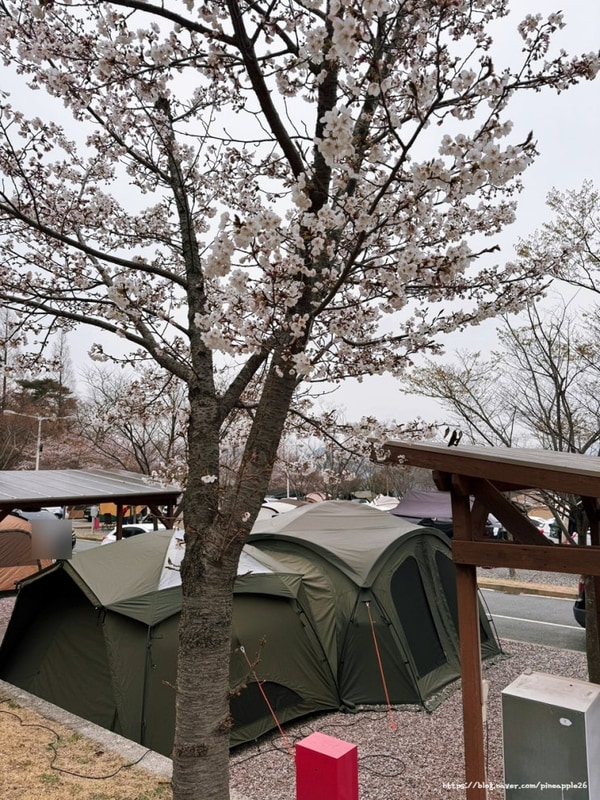 부산 근교 김해 천문대 오토캠핑장