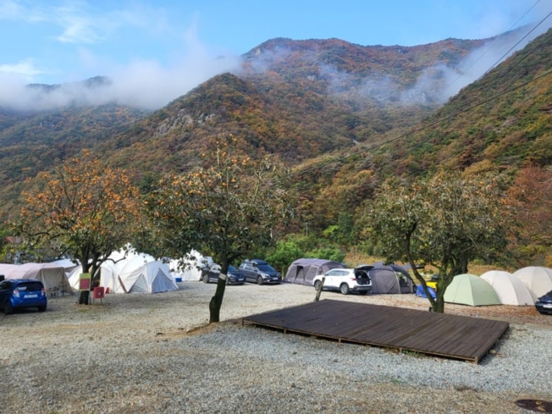 2025년11월)가을캠핑/양산포시즌m캠핑장/d8/마운틴하이커텐트