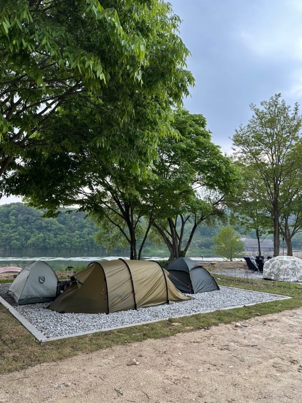 캠핑후기 - 여주 강천섬캠핑장, 효도캠핑 방문후기(25.05....
