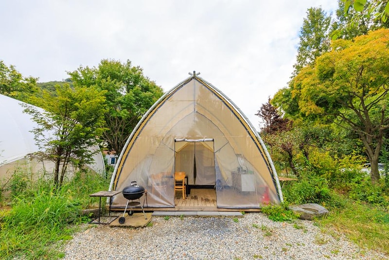 포레스트 캠핑장 시설 사진 13