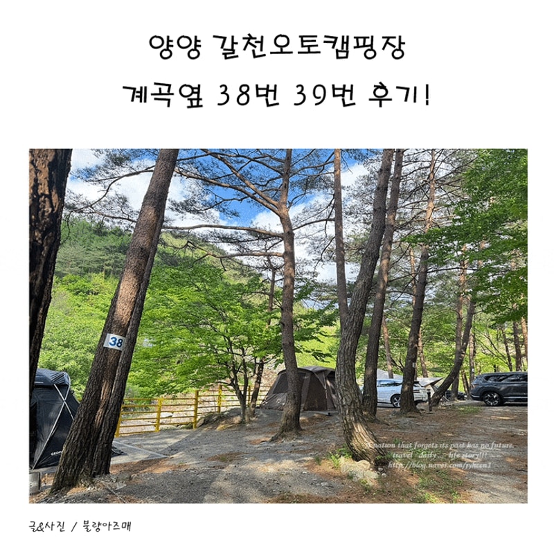 양양 갈천오토캠핑장 38번 39번 계곡뷰 후기!