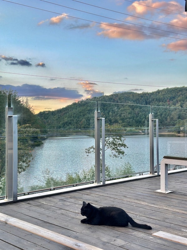 포천 청계호수 자작나무숲 캠핑장ㅣ청계호수뷰 인기 캠핑장...