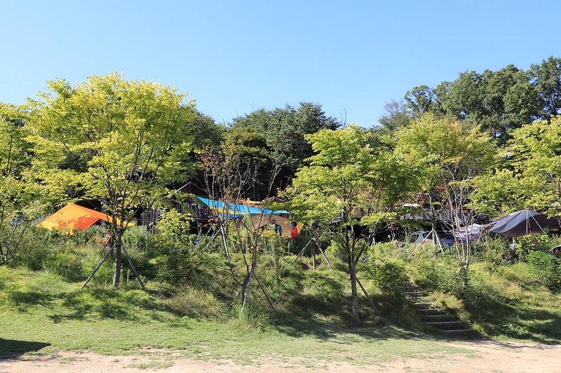 초안산캠핑장 시설 사진 28