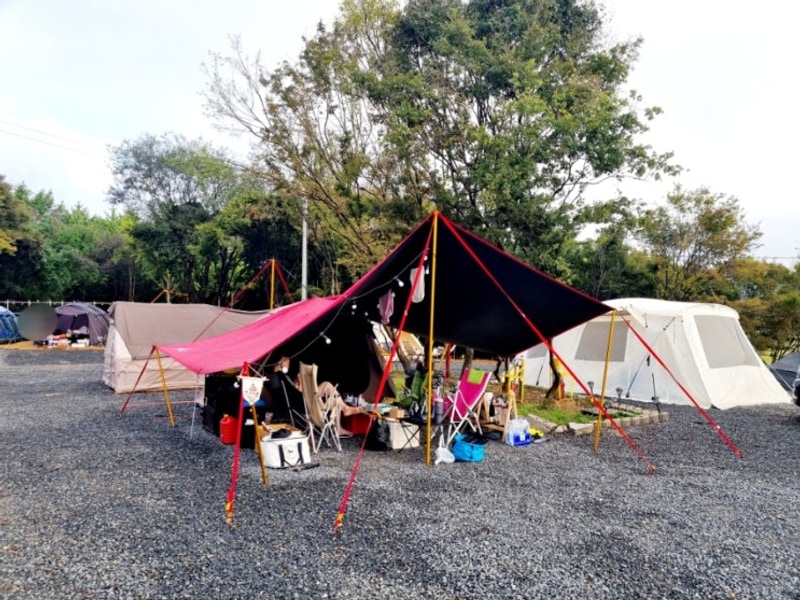 캠핑장에서의 아침[부여 사랑나무 캠핑장]