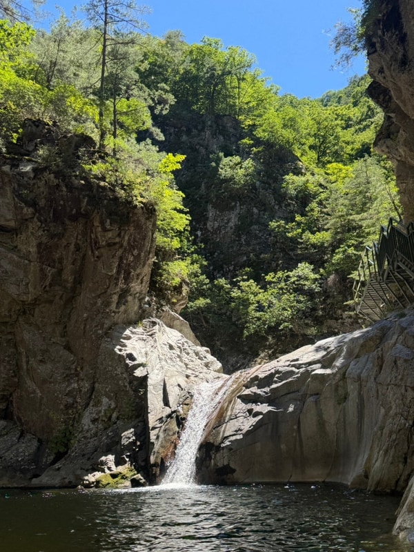 덕풍계곡 별빛야영장/유건바위/제1용소/덕풍골 블루베리스무디