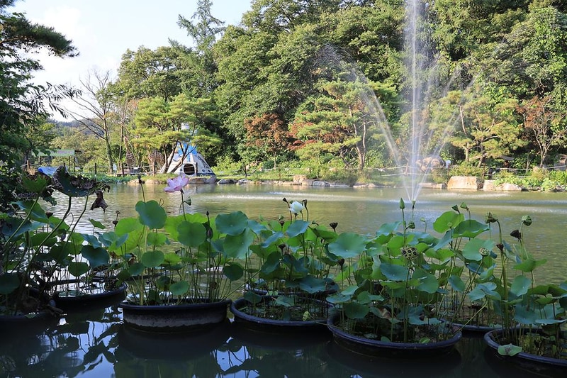 아프리카예술박물관 캠핑장 시설 사진 28