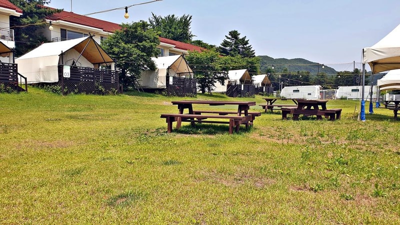 골드펫리조트 시설 사진 27