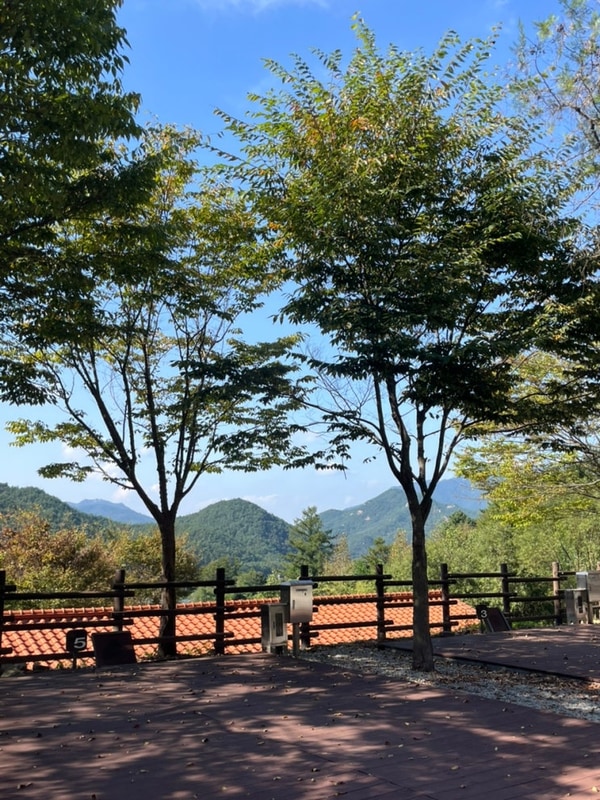[경상북도 상주] 문장대오토캠핑장 | 마운틴뷰 좋고 조용한...