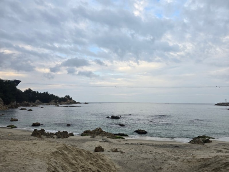 삼척 장호비치캠핑장 C15번 사이트 후기