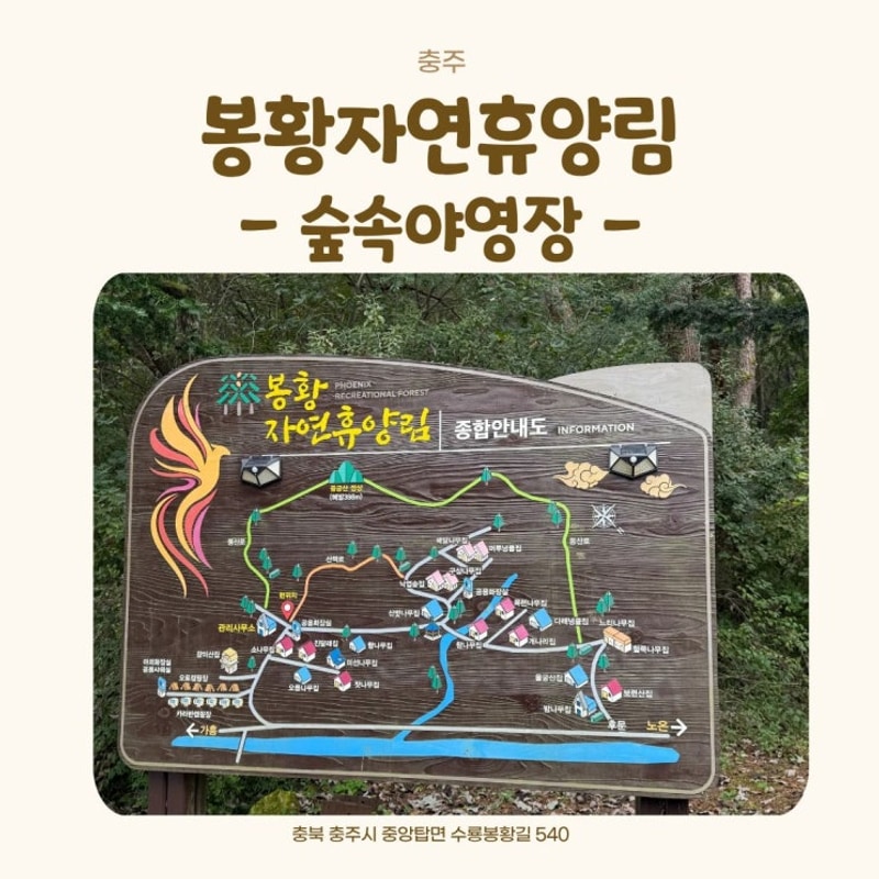 [충주 캠핑장] 봉황자연휴양림 숲속 야영장 캠핑 후기 | 테크...