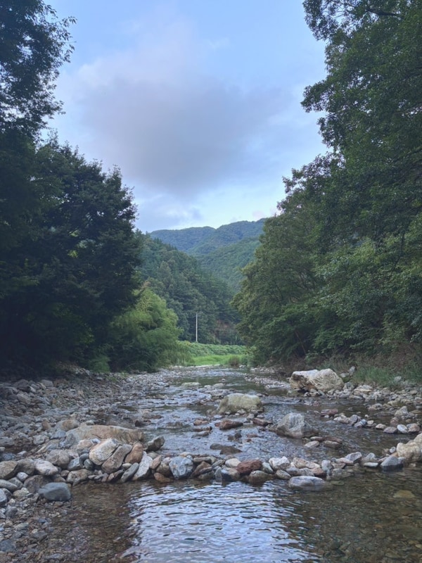 충북 영동군 계곡 캠핑장 영동 한울 캠핑장 후기