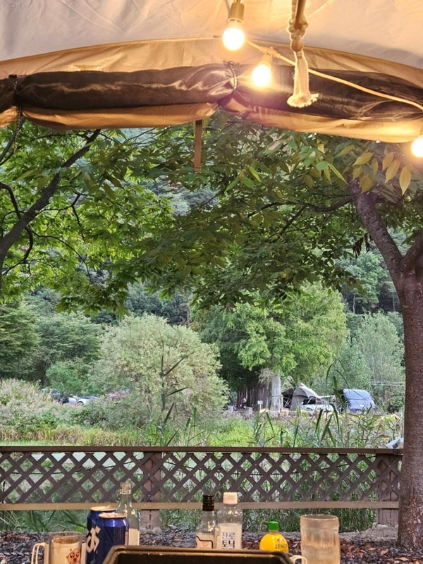 [경북/청도] 노키즈존... 아이고오토캠핑장(I go 오토캠핑장)