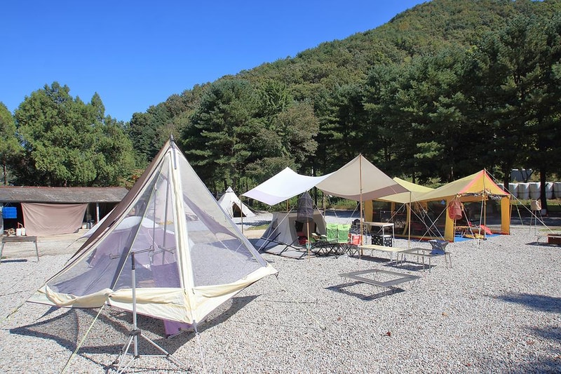 키즈드림 캠핑장 시설 사진 19