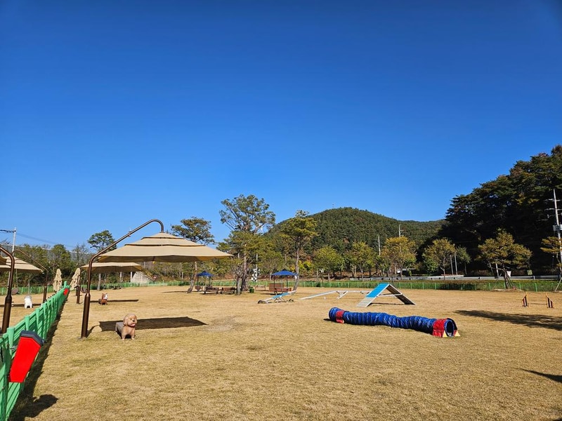 춘풍원 농촌체험 휴양마을 야영장 시설 사진 5