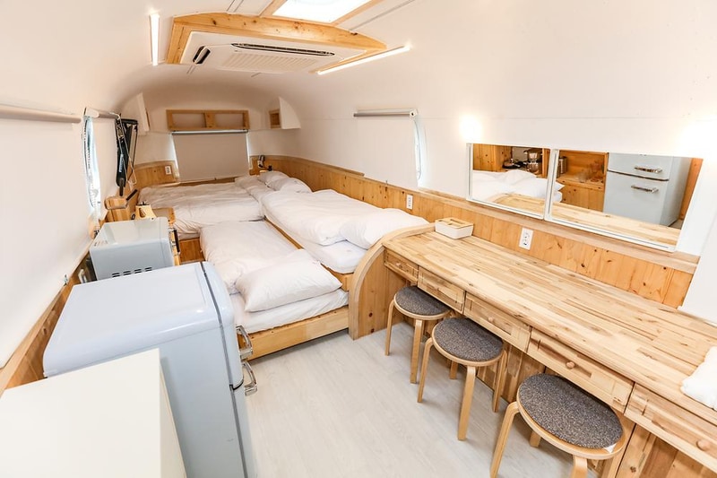 선인장 시설 사진 3