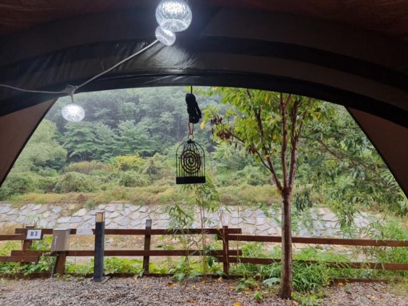 양양 포레스트 캠핑장