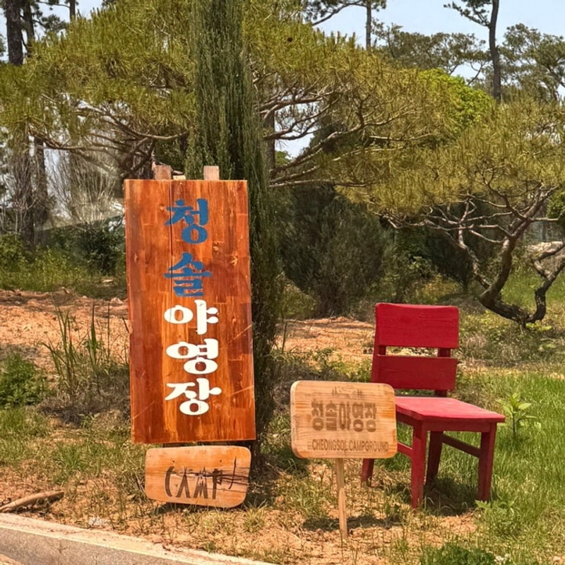 전남 장성 신상오픈한 청솔캠핑장 광주근교에서 고기구워먹은...