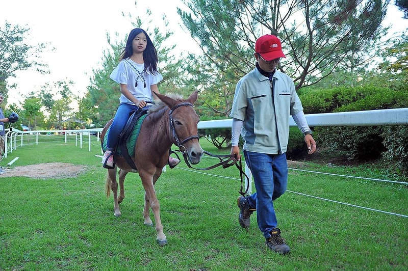 소나무농원 캠핑장 시설 사진 9