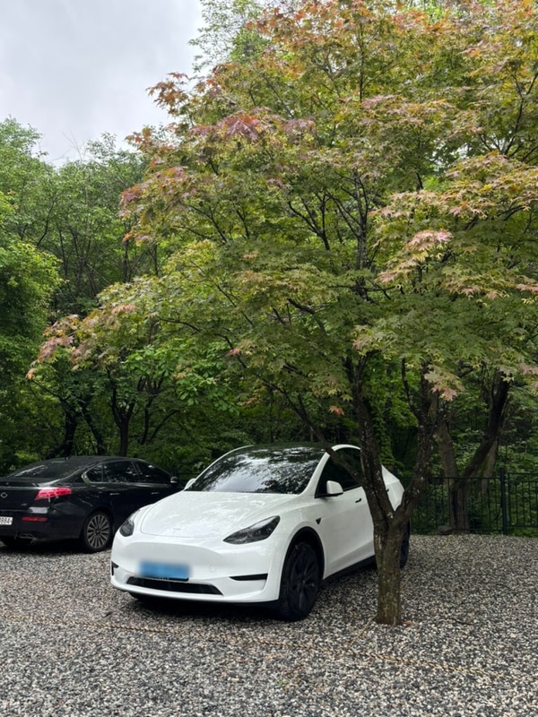 테슬라 모델Y 오토캠핑장 차박지 - 충북 제천 덕동골 캠핑장