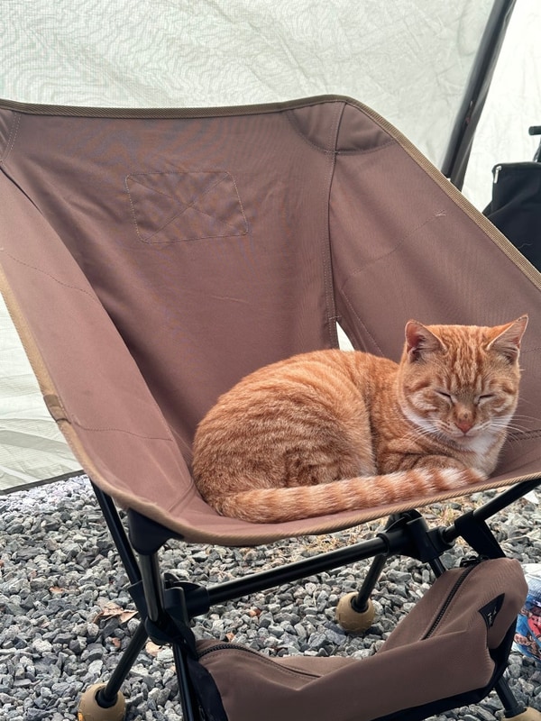 밀양 서당골캠핑장 후기