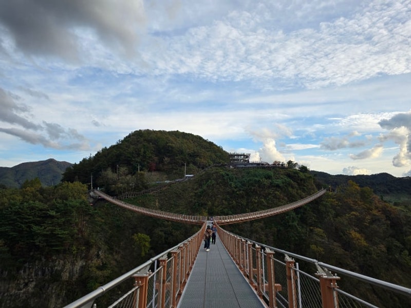 474th 포천 비둘기낭 캠핑장 D3 _ 반려동물 캠핑 펫 스타 모리...