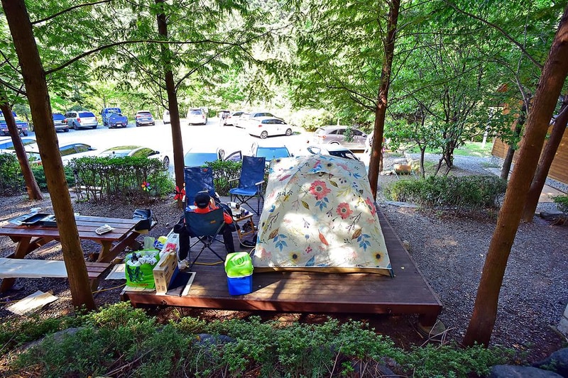 대운산자연휴양림 야영장 시설 사진 3