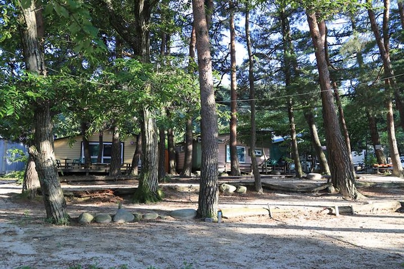 폭포골자연휴양림야영장 대표 사진