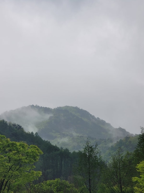 [아하캠핑]#44_원주 산노리캠핑장 놀타39_20250509~11