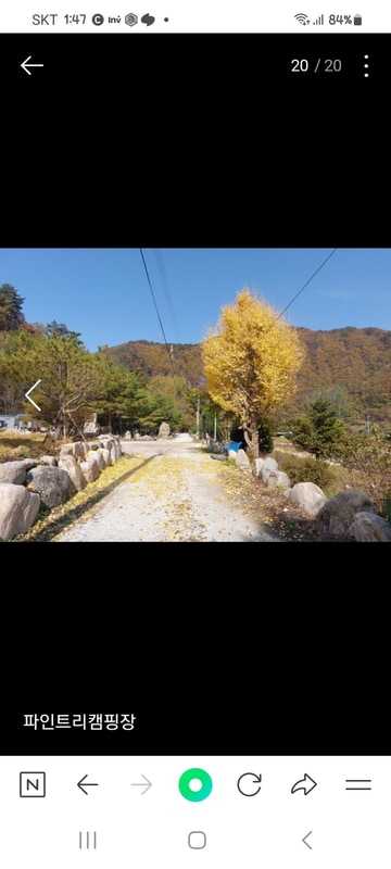 파인트리캠핑장 시설 사진 9