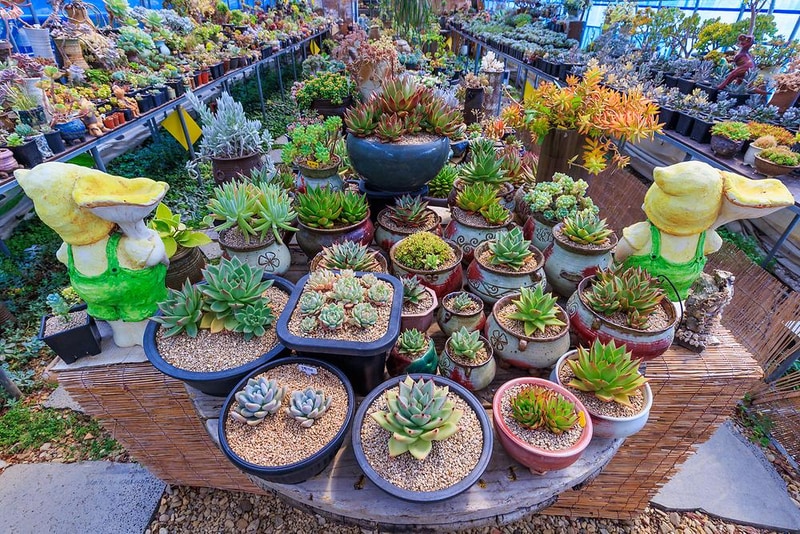 단아한 시설 사진 6