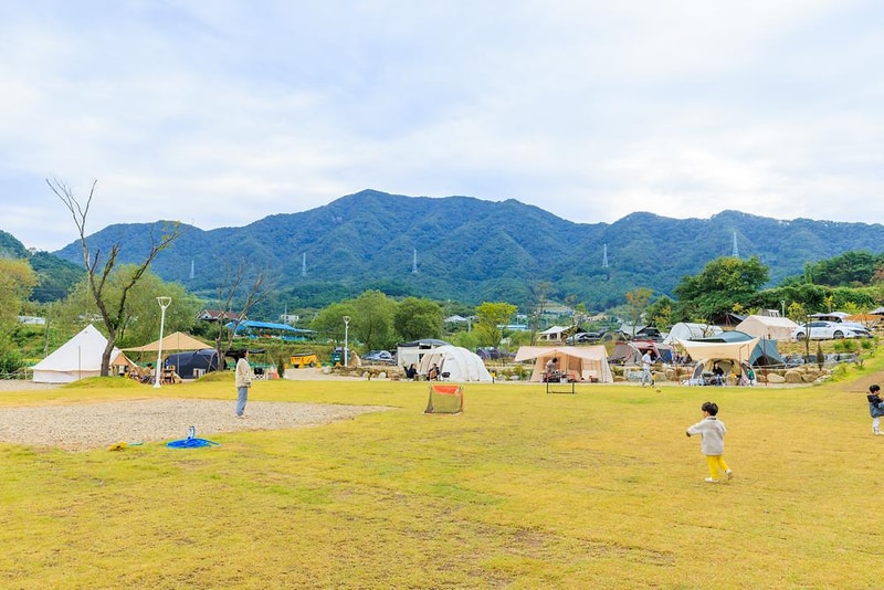 캠핑에 바나나 시설 사진 15