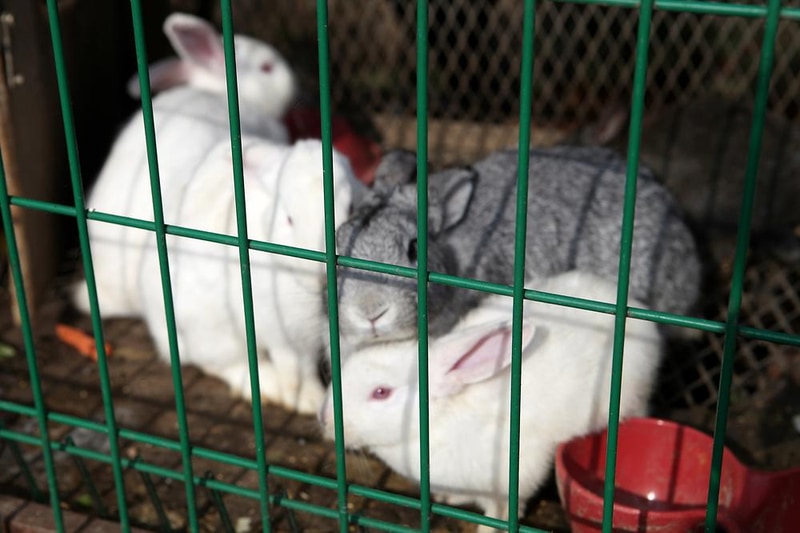 한터팜오토캠핑장 시설 사진 12